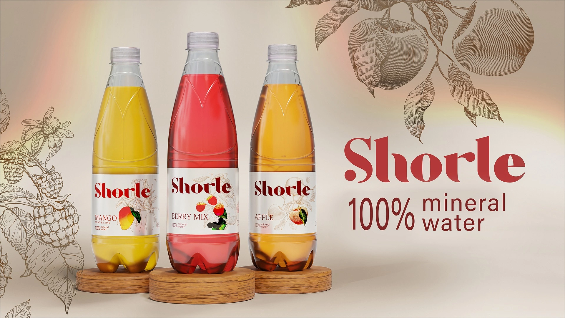 Shorle